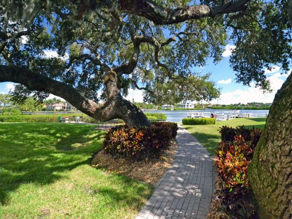 Siesta Key Vacation Condo Two Bedroom Walk to Beach