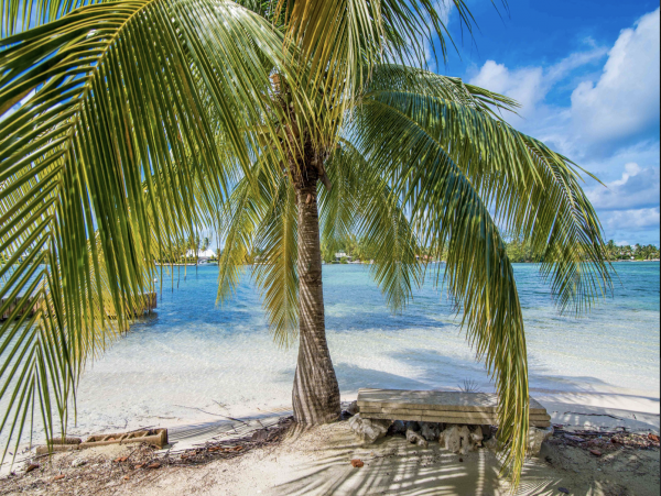 Luxury on the Beach Villa Cayman Islands