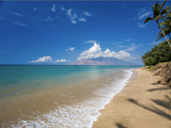 Wailea Luxury Four Bedroom Main House Guest Cottage