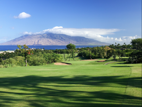 Wailea Luxury Four Bedroom Main House Guest Cottage