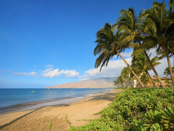 Wailea Luxury Four Bedroom Main House Guest Cottage