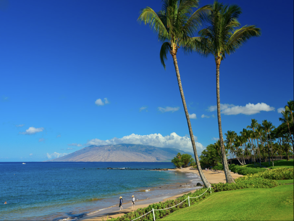Wailea Luxury Four Bedroom Main House Guest Cottage
