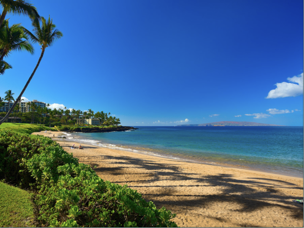 Wailea Luxury Four Bedroom Main House Guest Cottage