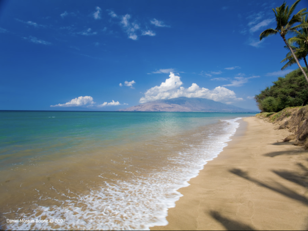 Wailea Luxury Four Bedroom Main House Guest Cottage