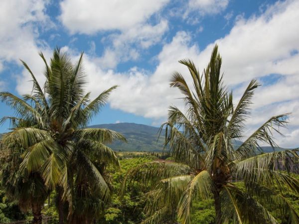 On Beach Lahaina Vacation Condo Two Bedrooms Sleeps 6