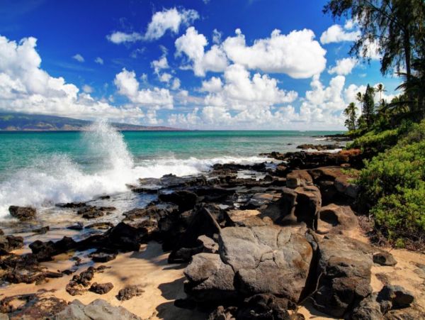 On Beach Lahaina Vacation Condo Two Bedrooms Sleeps 6