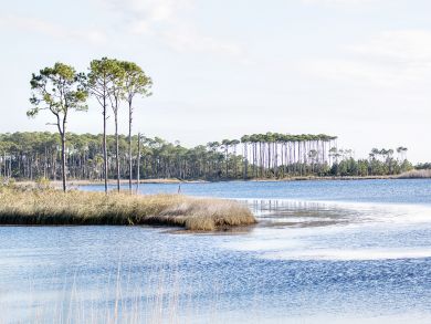 Beaches Of South Walton Home 912019