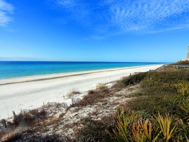 Beaches Of South Walton Condo 912028