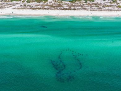 Santa Rosa Beach Vacation Condo Sleeps Eight Guests.