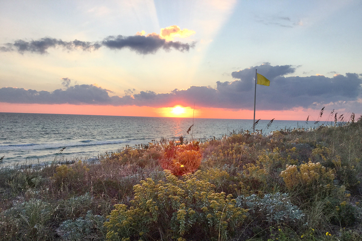Beaches Of South Walton Home 912042