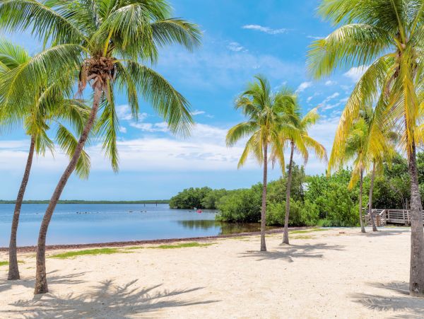 Key Colony Beach Rentals