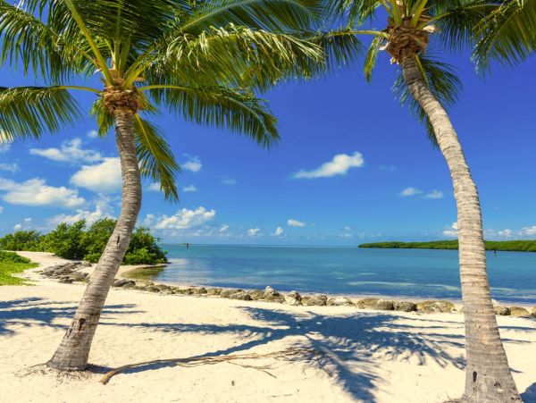 Oceanfront Marathon Villa Exceptional Vacation Home