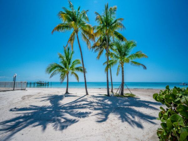 Oceanfront Marathon Villa Exceptional Vacation Home