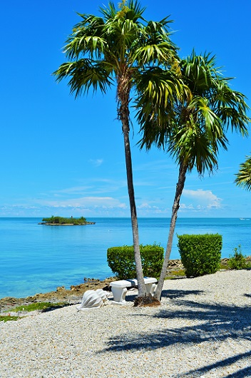 The Florida Keys Condo 912171