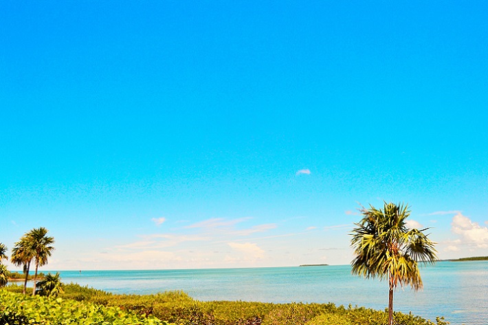 The Florida Keys Condo 912171