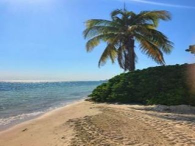 The Florida Keys Condo 912172