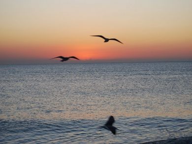 Sanibel Condo 912219