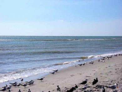 Sanibel Home 912222