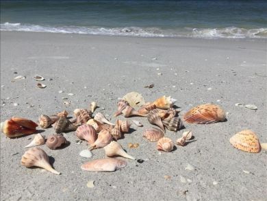 Sanibel Home 912231