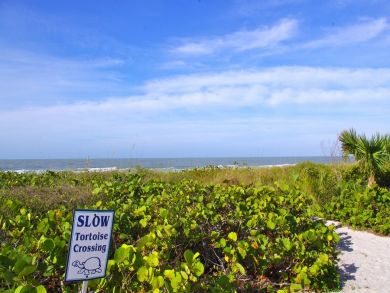 Sanibel Condo 912247