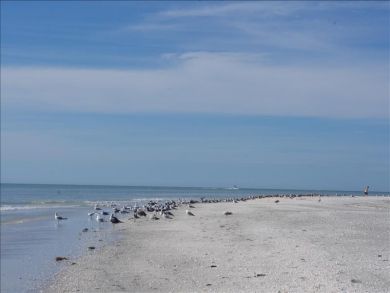 Sanibel Condo 912247