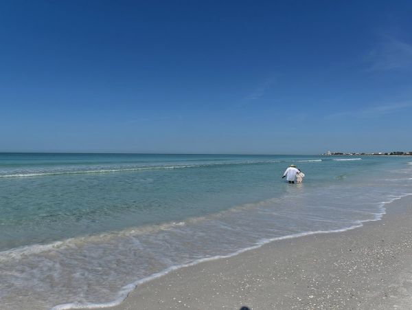 Siesta Key Gulf View Two Bedroom Vacation Condo
