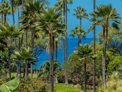 Kihei Vacation Condo with Water Views Two Bedrooms Sleeps 4
