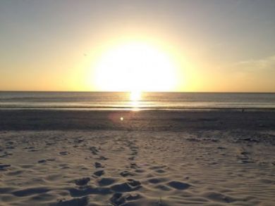 Siesta Key Condo 912319