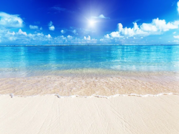 Siesta Key Vacation Condo with 2 Bedrooms