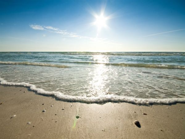 Steps to the Pool & Beach Siesta 2 Bedroom Ground Floor Unit
