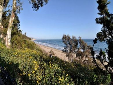 Summerland Luxury Rental Close to Santa Barbara