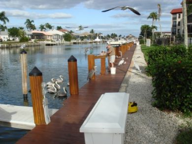 Marco Island Condo 912643 Marco Island Condo 912643