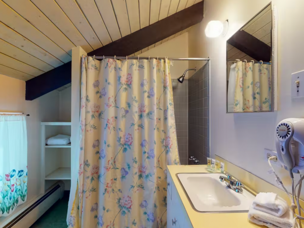 One of the Few Vail Ski in Ski Out 5 Bedroom Vacation Home