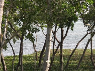 Bradenton Beach Vacation Rental Condo Three Bedrooms