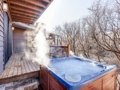 Seven Bedroom Luxury Aspen Ski Lodge