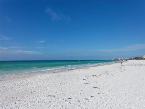 Siesta Key Beautifully Updated One-Bedroom Vacation Retreat