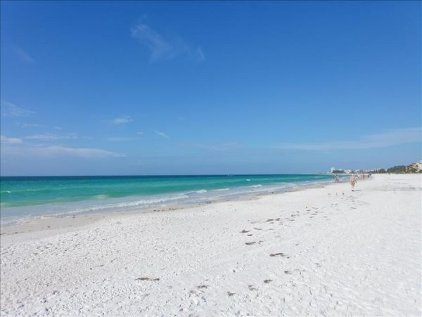 Beach View Condo 1 Bedroom Siesta Key