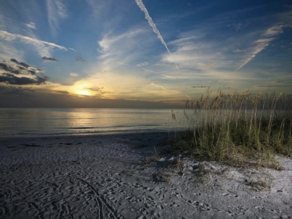 Beach View 1 Bedroom Condo on Siesta Key Beach