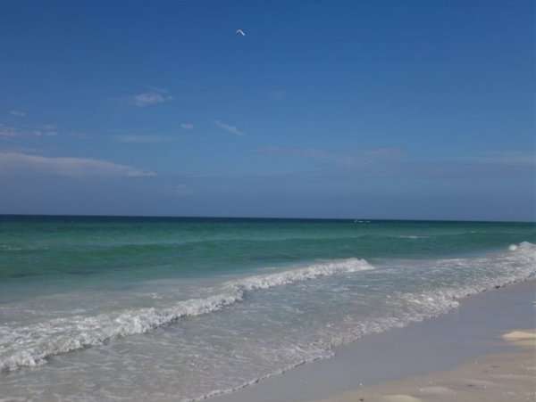 Siesta key Adorable Full Views of the Water