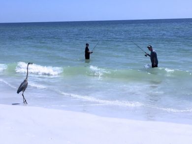 Anna Maria Island Holmes Beach Condo 912921