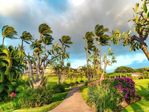 Wailea Luxury Beach Path and Five Star Amenities