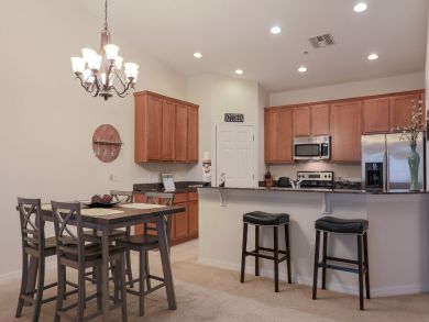 Sarasota Condo 913027
