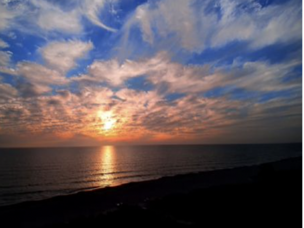 Sarasota Condo with 3 Bedrooms