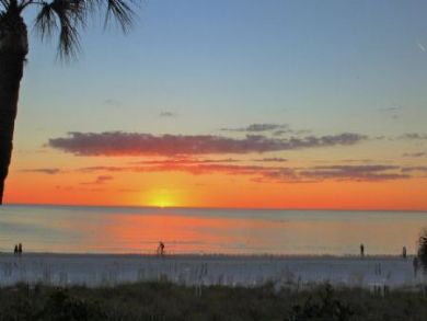 Siesta Key Condo 913081