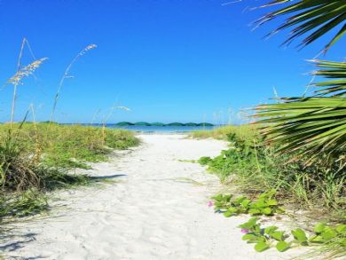 Siesta Key Condo 913110