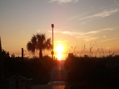 Siesta Key Condo 913125