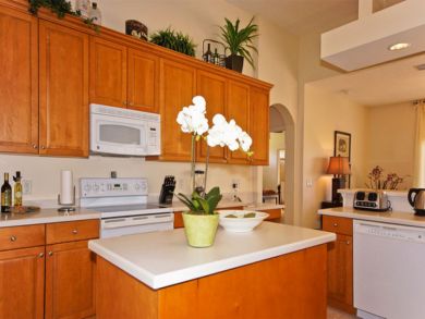 Cape Coral Home 913155