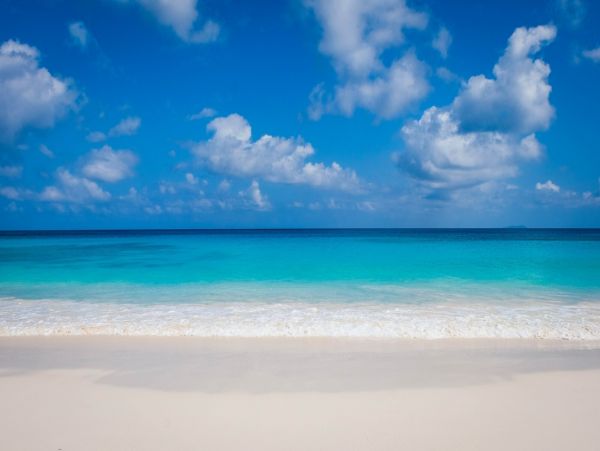Siesta Key Condo Short Walk to Beach!