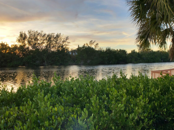 Charming Vacation Rental Condo on Siesta Key Walk to Beach