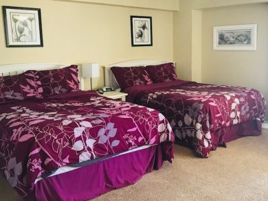 Siesta Key Condo 913364